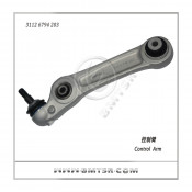 Oe Quality Auto Control Arm for BMW F10/F11