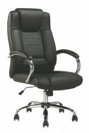 Office Black Leather Furniture Office Chair (FS-8611)