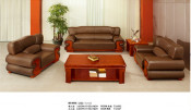 Office Furniture Leather Sofa (HY-S910)