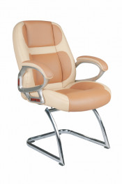 Office Furniture Manager Executive Office Chair (FS-8710C)