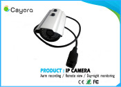 Outdoor 2.0megapixel Waterproof Design Mail Alert Smart IR IP Camera
