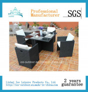 Outdoor Furniture Garden Furniture Dining Char Dining Table (FD-021I)