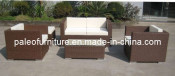 Outdoor Furniture Garden Furniture Patio Rattan Wicker Sofa Set (PAS-055.2)