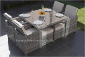 Outdoor Furniture Garden Rattan Wicker Dining Set (PAD-3233B)