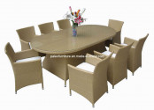 Outdoor Furniture, Rattan Dining Set (Oval Table) (PAD-058)