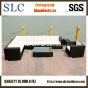 Outdoor Furniture/ Sofa Furniture/ Luxury Sofa Design (SC-B6017)