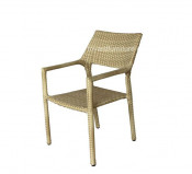 Outdoor Garden Furniture Modern Rattan Wicker Garden Chair (S219)