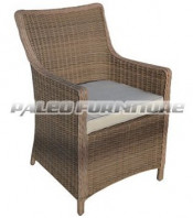 Outdoor Garden Patio Wicker Rattan Dining Chair (PAC-010)