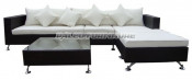 Outdoor Garden Patio Wicker Rattan Sofa (PAS-3274)