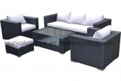 Outdoor Garden Patio Wicker Rattan Sofa Set (PAS-044B)