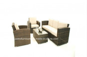 Outdoor Garden Rattan Furniture Sofa Set (PAS-068C)