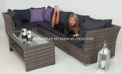 Outdoor Garden Rattan Wicker Patio Sofa Set (PAS-1208)