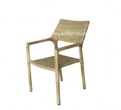Outdoor Modern Furniture Aluminum Rattan Coffee Chair (S219)