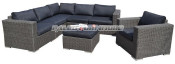 Outdoor Patio Rattan Furniture / Wicker Sofa (PAS-1314)