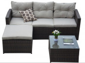Outdoor Patio Rattan Furniture / Wicker Sofa (PAS-1505)