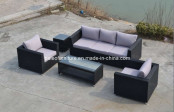 Outdoor Patio Wicker Furniture/Garden Rattan Sofa Set (PAS-1120)