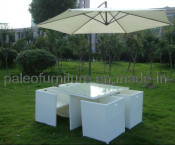 Outdoor Rattan Dining Table and Chair (PA-3233B)