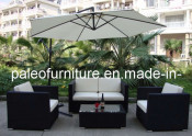 Outdoor Rattan Furniture / Garden Wicker Sofa (PAS-060.2)