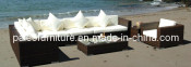 Outdoor Rattan Furniture Patio Leisure Sofa Set (PAS-062.1)