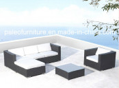 Outdoor Rattan Garden Wicker Patio Furniture (PAS-050)