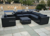 Outdoor Rattan Garden Wicker Patio Furniture (PAS-050.2)