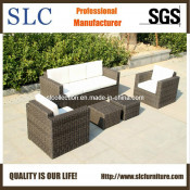 Outdoor Sofa Set/ Sofa Set / Furniture Sofa (SC-B9508-H)