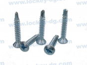 Oval Head Phillips Self Drilling Screw