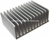 Oxidized Heatsink (ISO 9001: 2008 TS16949: 2008 Certified) (ZY-565)