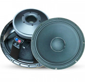 PA Woofer Speaker (TBX-12PS100)