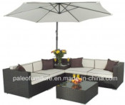 PE Rattan Modern Outdoor Leisure Patio Garden Sofa Furniture (PAS-1122)