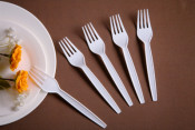 PS Cutlery PS Fork Disposable Fork