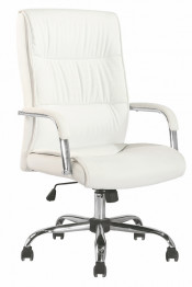 PU Leather High Back Office Executive Swivel Chair (FS-8735)