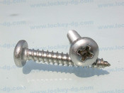 Pan Head Sheet Metal Screw