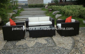 Patio Furniture Outdoor Wicker Rattan Garden Sofa (PAS-044.2)