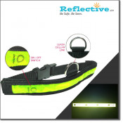 Personalized Nylon Collar & Leash Set
