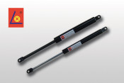 Piston Gas Spring /Gas Strut for Machine