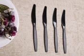 Plastic Flatware Plastic Knife PP Knife PS Knife