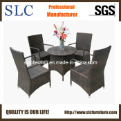 Plastic Rattan Furniture/Furniture Set/Bamboo Furniture (SC-M0035)