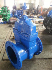 Pn German Standard F5 Dark Rod Sealing Gate Valve