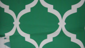 Polyester of Super Soft Printing