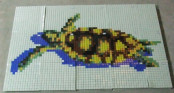 Pool Design with Mosaic