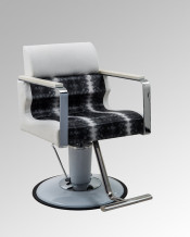 Professional Barber Chair for Salon (MY-007-89)