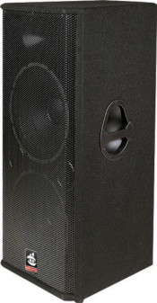 Professional DJ Wooden Speaker Box Outdoor Stage Speaker Evp-215