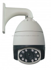 Protruly 1/3" Sony CCD Camera (BQL/BeH89-270/120)