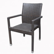 Quality Wicker Arm Chair (Ws-1728)