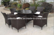 Rattan Dining Set (Oval Table)(PAD-3040)