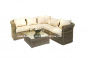 Rattan Furniture/Rattan Outdoor Furniture/Rattan Sofa (PAS-1203)