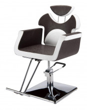 Reclining Salon Equipment Styling Chair (MY-007-59)