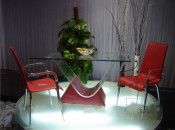 Red Color Dining Furniture Sale Well