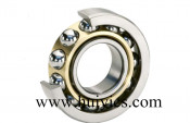 Roller Bearing